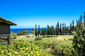 KBM Resorts: Kapalua Ridge Villas KRV-724 Ocean View New Furniture AC Includes Rental Car